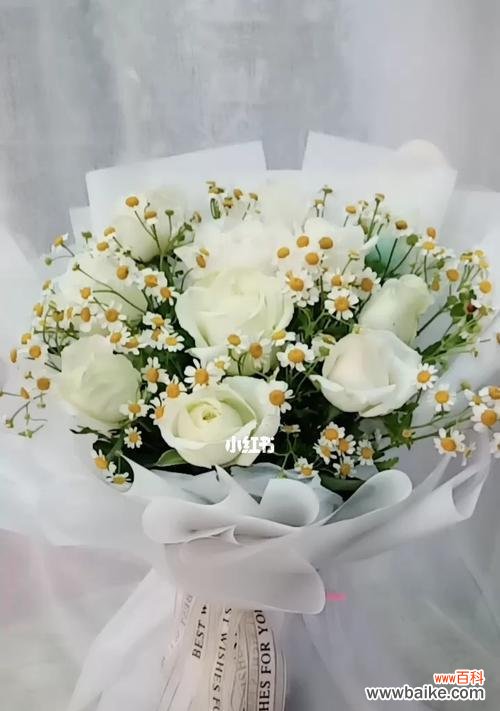 用花语传达心意 二十一朵白玫瑰的花语-爱与祝福的绽放