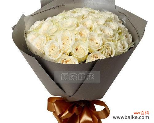 用花语传达心意 二十一朵白玫瑰的花语-爱与祝福的绽放