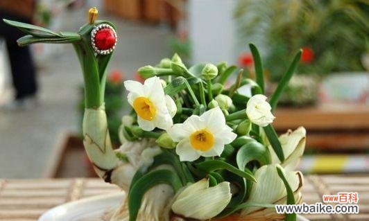 艺术与技艺的完美结合 水仙雕刻