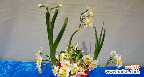 艺术与技艺的完美结合 水仙雕刻