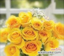 探寻黄玫瑰的十一种含义 黄玫瑰的花语意义