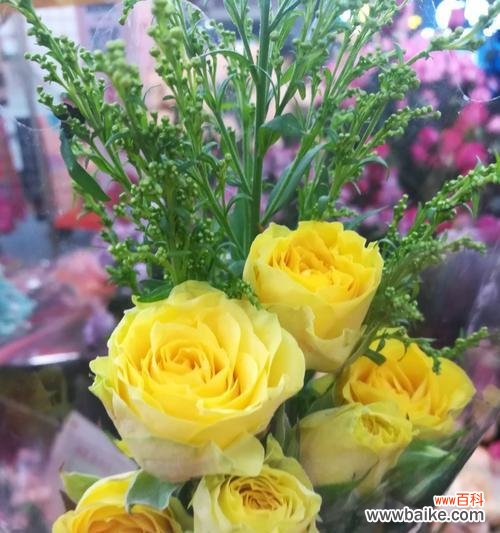 探寻友情的花朵语言 以花语代表友情的美好