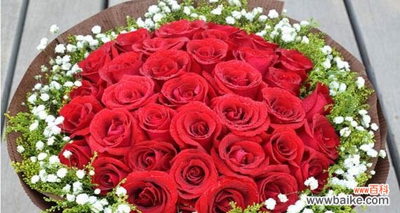 探寻玫瑰花背后的隐含信息 玫瑰花的花语及其意义