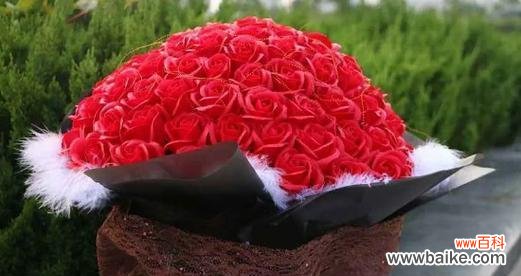 探究玫瑰花语之美丽与祝福 16朵玫瑰花的花语及意义