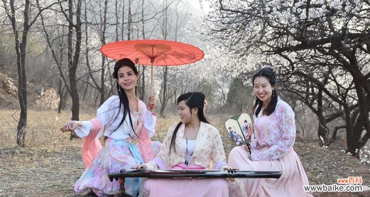 杏花古代别称的文化内涵与情感表达 杏花古代别称的花语及寓意