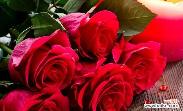 探寻男性用8朵玫瑰传递的情感和心意 男人送女人8朵玫瑰的寓意及象征意义