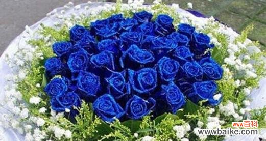 33朵玫瑰花语是什么?送33朵玫瑰代表什么含义?