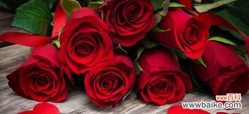 34朵玫瑰的花语是什么？送花时需要注意什么？