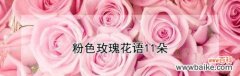 35朵玫瑰的花语是什么？送花时需要注意什么？