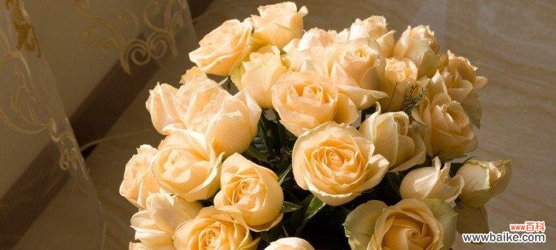 35朵玫瑰花语是什么意思？35朵玫瑰代表什么情感？