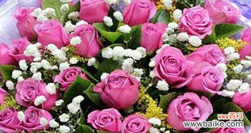 36朵玫瑰代表什么花语？花语背后的含义是什么？