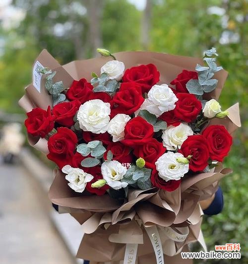解读花语与心意 十九朵玫瑰的象征意义