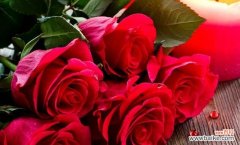 玫瑰花语的奥秘和浪漫情怀 玫瑰之语——解读几朵玫瑰的含义