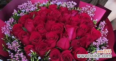 98朵玫瑰花代表什么含义？花语解读与送花建议？