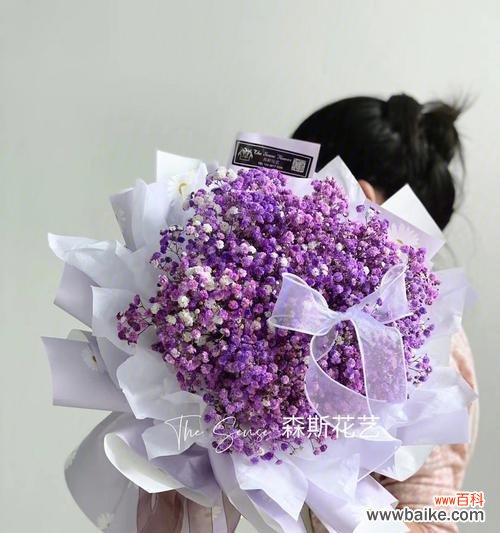 紫色满天星的花语 紫色满天星的花语之美丽与祝福