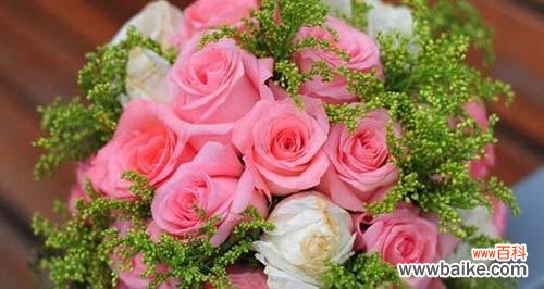 探寻35朵玫瑰所表达的浪漫情感 35玫瑰花语的含义与传达