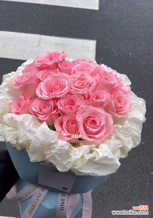 以戴安娜玫瑰的寓意探索花朵的神秘力量 戴安娜玫瑰