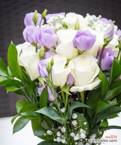 洋桔梗花语的深层意义与心灵寄托 洋桔梗花语和寓意