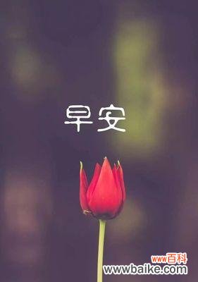 以花花语为媒介 花开自律之路