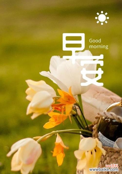 以花花语为媒介 花开自律之路