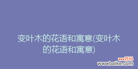 变叶木的风水寓意是什么？如何正确摆放以招财纳福？