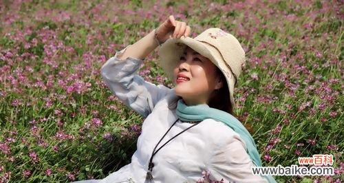 探寻紫云英所传递的神秘讯息 紫云英的花语与意义