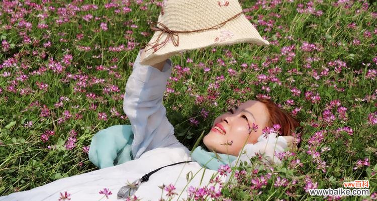 探寻紫云英所传递的神秘讯息 紫云英的花语与意义