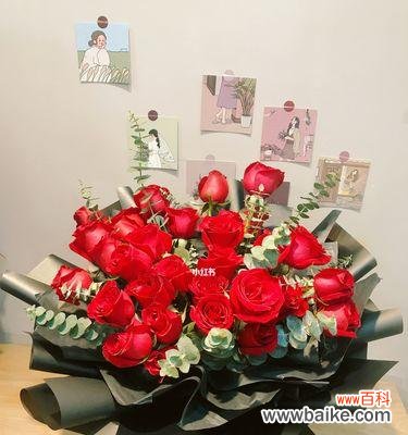 浪漫 33朵玫瑰的意义与寓意