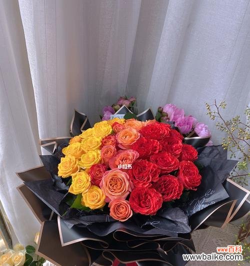 浪漫 33朵玫瑰的意义与寓意