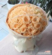 探寻香槟玫瑰背后的意义与情感 香槟玫瑰