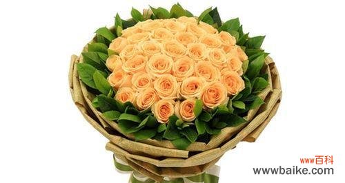 浪漫传递的花香 香槟玫瑰的寓意与象征——探索花语中的浪漫与温柔