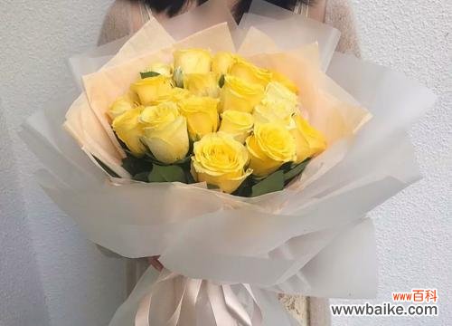 了解香槟玫瑰花的魅力与传统 香槟玫瑰花的象征意义及文化背景