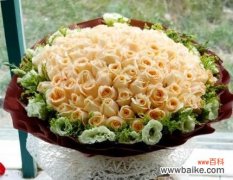 玫瑰之王的芬芳故事 探寻香槟玫瑰的浪漫韵味