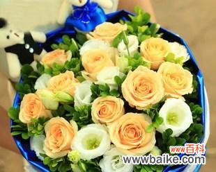 玫瑰之王的芬芳故事 探寻香槟玫瑰的浪漫韵味