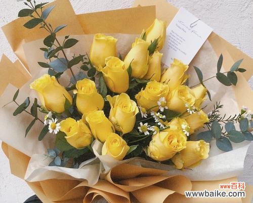 探究黄玫瑰花象征的美好品质 黄玫瑰花的寓意与传说