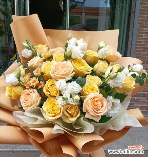 探究黄玫瑰花象征的美好品质 黄玫瑰花的寓意与传说