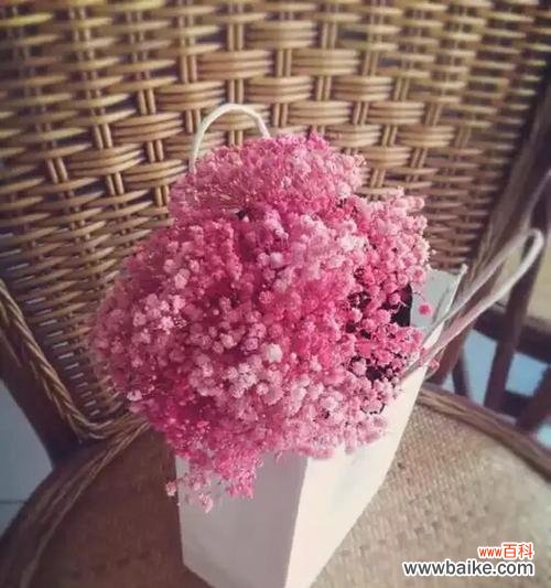 揭示满天星花语的秘密 满天星花语的美丽寓意