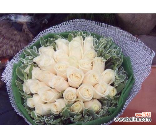 探寻香槟色玫瑰的浪漫情怀 香槟色玫瑰的花语与寓意