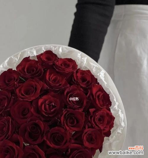 31朵玫瑰花代表的意义及赠送技巧 玫瑰花的含义与传情之道