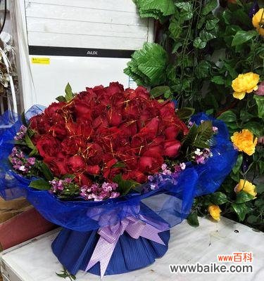 31朵玫瑰花代表的意义及赠送技巧 玫瑰花的含义与传情之道