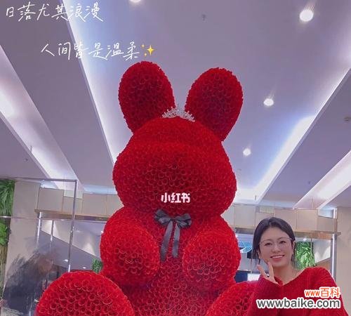 探究红色兔子的神秘内涵 红色的兔子的象征意义