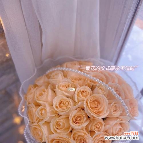 玫瑰花语中的浪漫告白与美好祝福 33朵香槟玫瑰花语