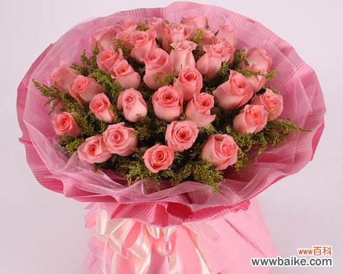 揭示花语之迷——粉玫瑰的隐含寓意 一朵粉玫瑰的象征意义