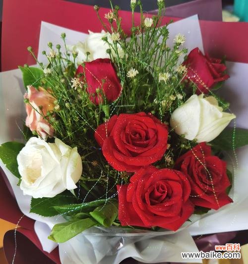 以象征老师的花为主题 老师如花开蓓蕾绽放