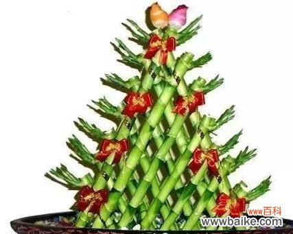 以事业蓬勃发展的植物为引 植物中的象征事业步步高升之旅