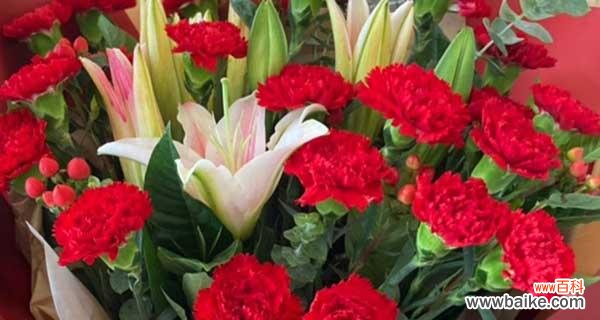 花语传递尊敬之情 花与尊敬师长