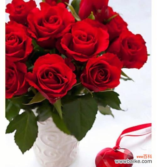 探索玫瑰花不同颜色的象征意义 玫瑰花的颜色代表的含义