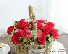 红豆的美丽与情感的象征 红豆花语及其寓意