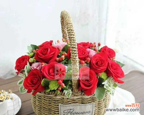 红豆的美丽与情感的象征 红豆花语及其寓意