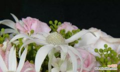 红尘中的刀剑情缘 九月桃花刀